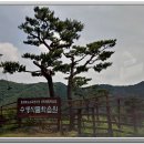 천상의정원