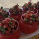 쌍림 | [경북 고령]고령 딸기|쌍림 딸기 거리|딸기사러 또간집|도익농장|52번집