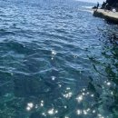 수안목장 | 울릉도 자유여행 : 강릉항 울릉도행 배부터 렌트카까지 모든 것 !