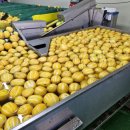 빈이네농장 이미지