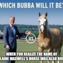 트럼프 BUBBA 스캔들 간단정리 이미지