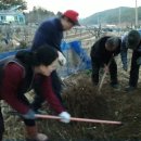 궁촌농장 이미지