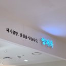 범계역 밥집 안양보쌈 맛집 양재옥 롯데백화점 평촌점