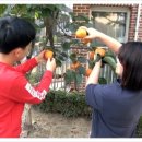 사회복지법인 풍성하게 이미지