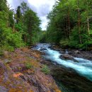 계곡&풍경 이미지