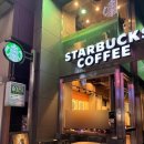 사쿠라 | 도쿄여행 일본 스타벅스 사쿠라 컵 텀블러 실물 후기