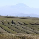 서광리-13 이미지