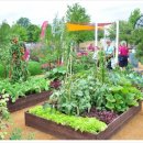 가든키친(Garden Kitchen) 이미지