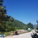 장천마을캠핑장 이미지