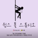 [골목]댄스스포츠 | 잠실에서 만나는 윙스폴댄스, 폴린이 초보 원데이 클래스 후기