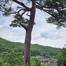 봉황성인PC | 죽기전에 꼭 가봐야 하는 金剛山 乾鳳寺 수행공간 산사순례 관음기도