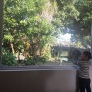 제주 이리스 이미지