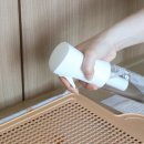 펫 노리터 이미지