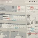 제니스 | 마운자로 끊게 만든 이뮨팩토리 셀포랩 제니스 후기 | 청주 다이어트