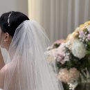 엘로디 | 💍W06. 본식 후기 - 엘로디스냅 (아이폰스냅)