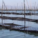 김양식농장 이미지