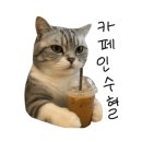 고양이사랑채
