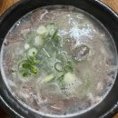 초원왕만두김밥 이미지