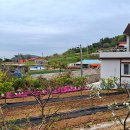 선학농장 이미지