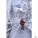 2월24일(토)아름다운 월악산 2(송계삼거리-영봉) 이미지