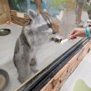 수달앤쥬 이미지