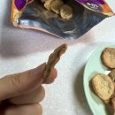 엔조이프로틴 이미지