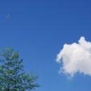 (주) 환경과 가치 이미지