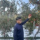 가평군농업기술센터 | 가평군농업기술센터입구 명품사과 .백세사과원 상큼 달콤새콤부사사과 시나노골드