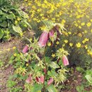 한농한의원 이미지