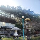 물바람버섯농장 이미지