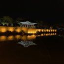 5월 경주 여행(feat. 힐튼 경주, 불국사 겹벚꽃, 황리단길, 야경)