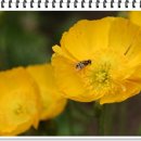 용암낚시터 이미지