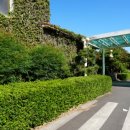 대유랜드입구 이미지