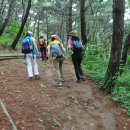 솔마루길 신선산 이미지