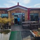 바위솔타운 이미지