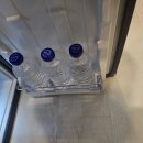 나무늘보호텔 이미지