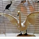 우리들 랜드 이미지