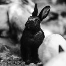 하우스 앤 건축사사무소 이미지