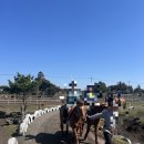 씨유 문수드림파크점 | 제주도 3박4일 패키지 여행 솔직후기 마지막편🍊 내돈내산 (셋째날 일정)🌿(“쇼핑지옥인가 했지만… 건질...