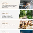 당리시장 이미지