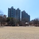 잠원한강공원 Daum카페