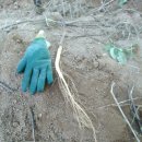 햇살 농장 이미지