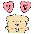 목동바른안경 이미지