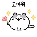 쿼드커피 아이엠도넛 광주상무점 이미지