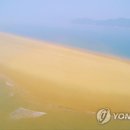 대이작_해양생태관 Daum카페