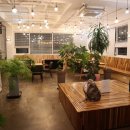 미니호텔 풍뎅이 이미지