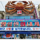 구룡포대게 이미지