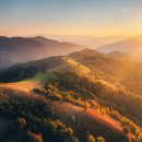 호텔 투데이 이미지