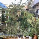 새나래유치원 이미지