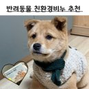 EM환경지도사 | 친환경 반려동물 비누ㅣ지역향을 담은 아로마 선물세트 <이틀아토>